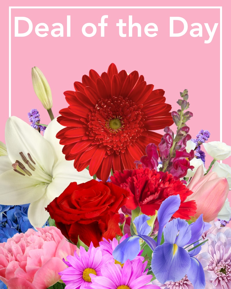 Deal of the Day Product CHF23